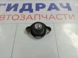 Горловина радиатора (крышка) Kia Soul 253301P000