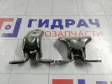 Петли двери задней правой Kia Soul