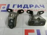 Петли двери задней правой Kia Soul