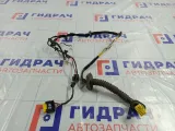 Проводка двери задней правой Kia Soul 916652K010