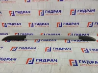 Рейлинг правый Kia Soul 872802K000