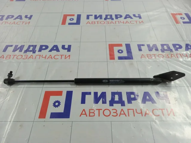 Амортизатор крышки (двери) багажника левый Kia Soul 817702K000