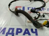 Проводка двери задней левой Kia Soul 916552K010