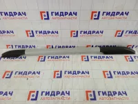 Рейлинг левый Kia Soul 872702K000