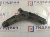 Рычаг передний левый Kia Soul 545002K600