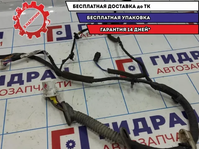 Проводка двери передней правой Kia Spectra .