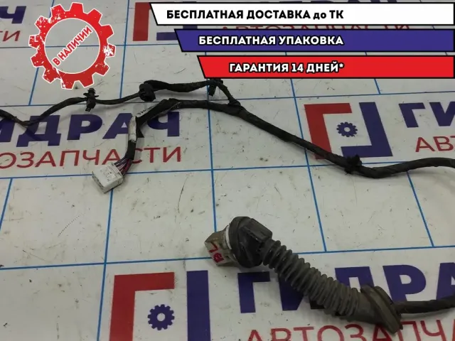 Проводка двери задней левой Kia Spectra .