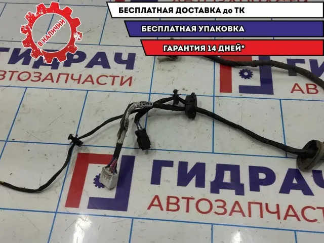 Проводка двери задней правой Kia Spectra .