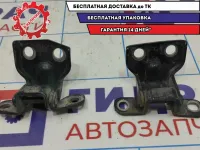 Петля двери задней правой Kia Spectra . Комплект.