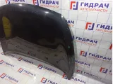 Капот Kia Sportage (SL) . Сколы.