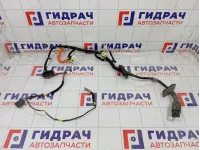 Проводка двери передней левой Kia Stinger 91604J5900