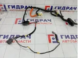 Проводка двери передней левой Kia Stinger 91604J5900