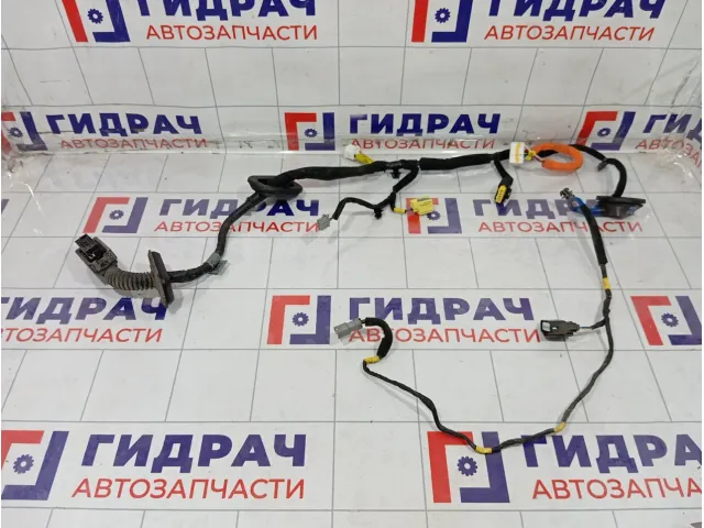 Проводка двери передней правой Kia Stinger 91614J5900