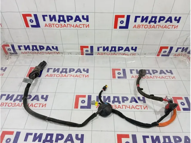 Проводка двери задней левой Kia Stinger 91650J5100