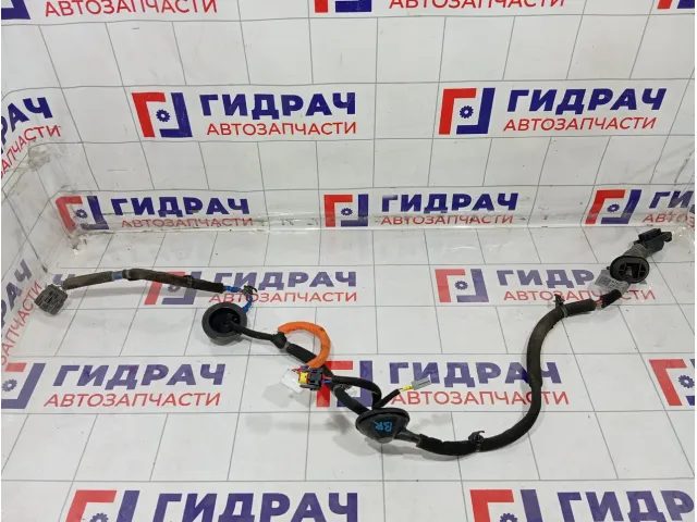 Проводка двери задней правой Kia Stinger 91660J5100