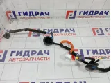 Проводка двери задней правой Kia Stinger 91660J5100