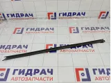 Уплотнитель стекла переднего левого Kia Stinger 82231J5000