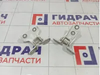 Петли двери задней левой Kia Stinger