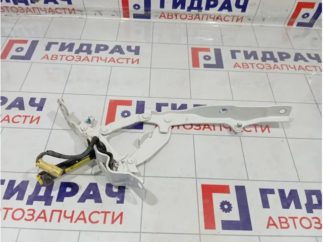 Петля капота левая Kia Stinger 79110J5000