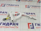 Петля капота правая Kia Stinger 79120J5000