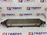 Интеркулер Kia Stinger 282712CTA1