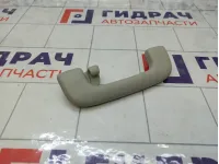 Ручка потолочная Kia Stinger