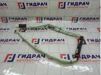 Подушка безопасности боковая (шторка) правая Kia Stinger 80420J5000