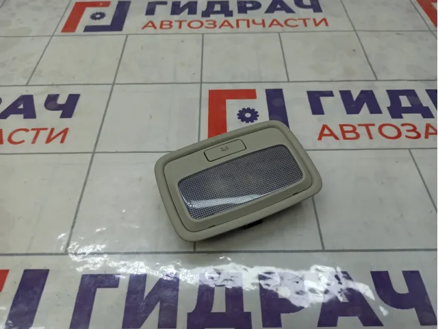 Плафон салонный Kia Stinger 92850J5000CKL