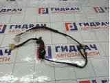 Проводка двери багажника Kia Stinger 91686J5010