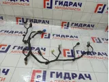 Проводка двери багажника Kia Stinger 91680J5010