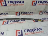 Молдинг крыши левый Kia Stinger 87230J5000SWP