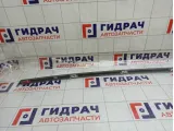 Молдинг крыши левый Kia Stinger 87230J5000SWP