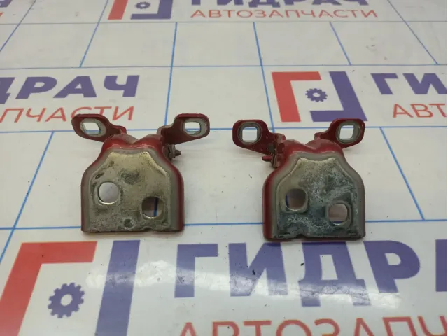 Петли двери задней правой Lada Vesta