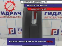 Консоль LADA VESTA 8450008583. Центральная.