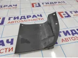 Пыльник крыла заднего левого LADA VESTA 8450006706.