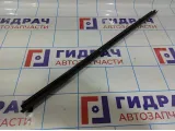 Уплотнитель стекла двери задней левой LADA VESTA 8450007854.