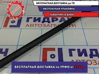 Уплотнитель стекла двери передней правой LADA VESTA 8450007726.