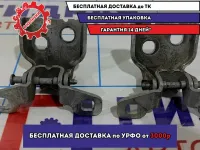 Петли двери передней левой LADA VESTA . Комплект.