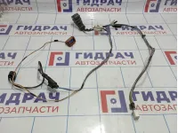 Проводка двери передней правой Lada Granta 21903724544