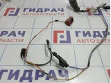 Проводка двери передней правой Lada Granta 21903724544