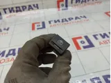 Кнопка обогрева стекла заднего Lada Granta 21700371002000