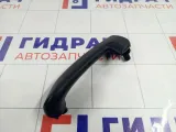 Накладка ручки внутренней передней правой Lada Granta 21900620218800