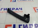 Накладка ручки внутренней передней правой Lada Granta 21900620218800