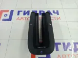 Накладка консоли центральная Lada Granta 1118350804010