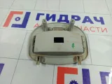 Плафон салонный Lada Granta 11183714014