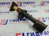 Амортизатор передний правый Lada Granta 2190290500251