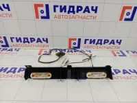 Фонарь подсветки номера Lada Granta 21903724214