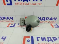 Лючок бензобака Lada Granta 11180841301000