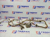 Проводка подкапотная Lada Granta 219013724010