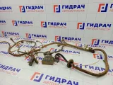 Проводка подкапотная Lada Granta 219013724010